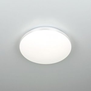 Светильник Citilux Симпла LED (CL71424SV)