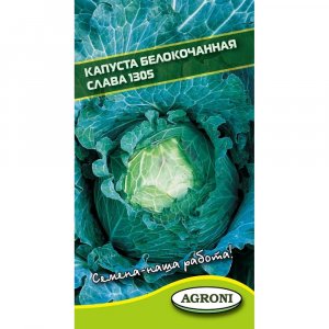 Белокочанная капуста капуста Агрони СЛАВА (5954)