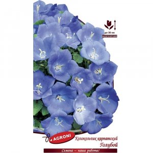 Карпатский колокольчик семена Агрони ГОЛУБОЙ (5107)