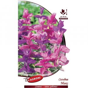 Сальвия семена Агрони МИКС (3240)