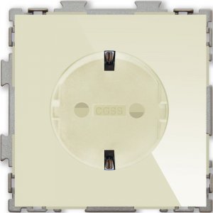 Электрическая розетка CGSS Практика (PL-W160A-BGG)