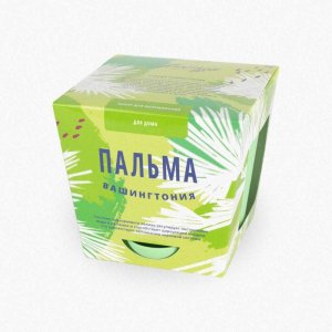 Набор для выращивания растений Тысяча листьев Пальма Вашингтония (tl-013)