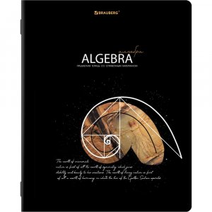 Предметная тетрадь BRAUBERG 404520