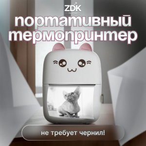 Принтер ZDK TerPrintC9