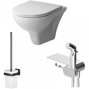 Унитаз Am.Pm Gem FlashClean CK90H0203W подвесной с гигиеническим душем и ершиком с сиденьем Микролифт