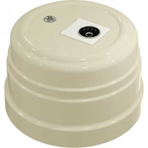 Оконечная, розетка МЕЗОНИНЪ GE30321-02