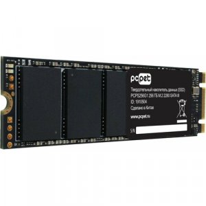Твердотельный накопитель Pc Pet PCPS256G1