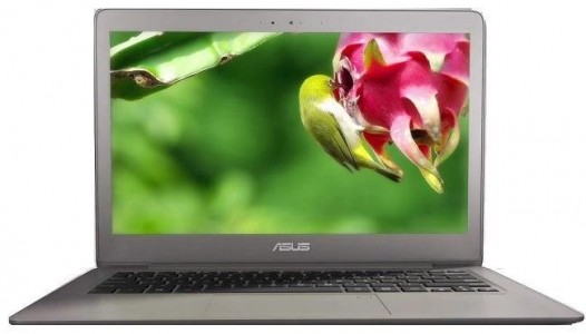 Ноутбук ASUS Zenbook UX330UA-FC295T (90NB0CW1-M07960)